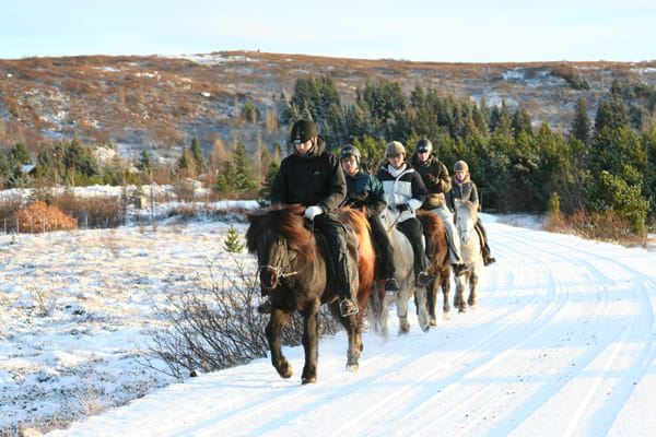 Horse riding on the Fast Lava day tour from Reykjavik