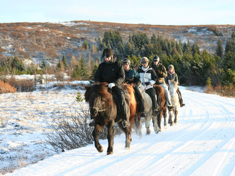 Horse riding on the Fast Lava day tour from Reykjavik
