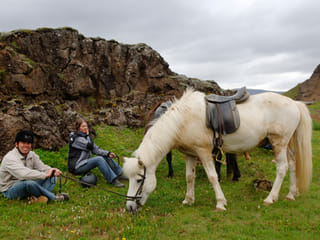 Horse riding on the Fast Lava day tour from Reykjavik