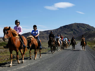 Horse riding on the Fast Lava day tour from Reykjavik