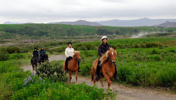 Horse riding on the Fast Lava day tour from Reykjavik