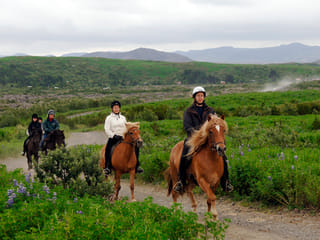 Horse riding on the Fast Lava day tour from Reykjavik