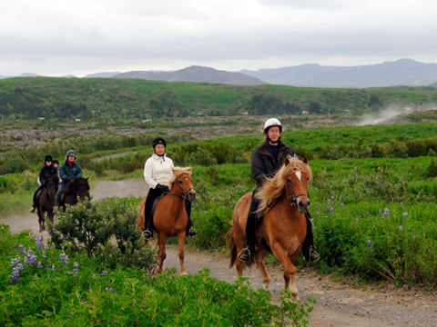 Horse riding on the Fast Lava day tour from Reykjavik