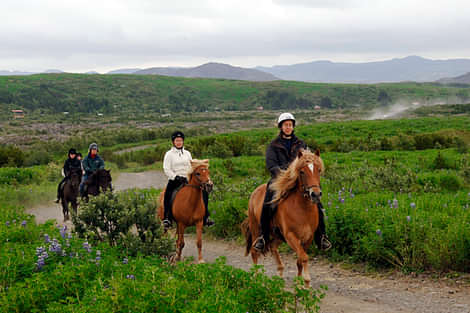 Horse riding on the Fast Lava day tour from Reykjavik
