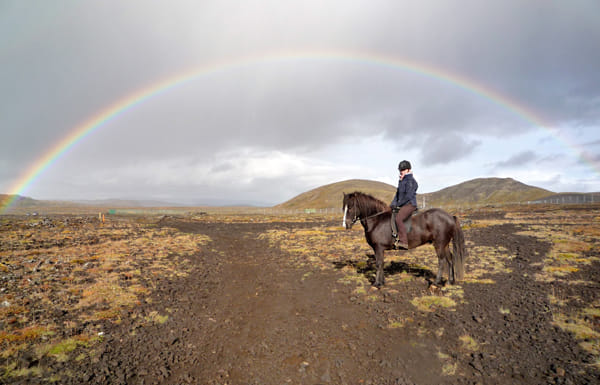 Horse riding on the Fast Lava day tour from Reykjavik