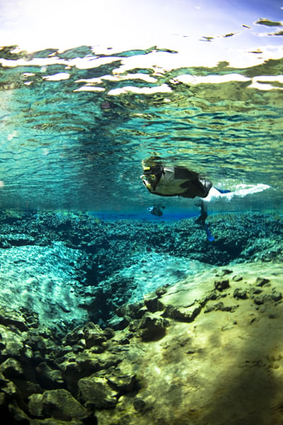 Snorkeling and Golden Circle excursion from Reykjavík in Iceland