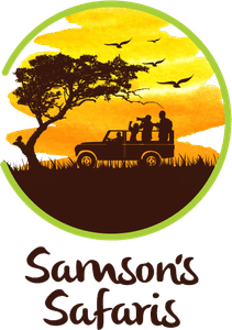 Samson's Safaris