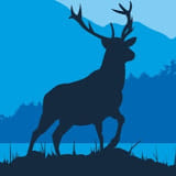 Highland Explorer Tours