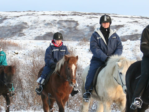 Fast Lava - ATV and horseback riding, photo 28