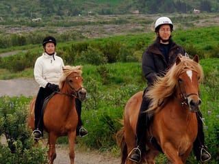 Fast Lava - ATV and horseback riding, photo 29