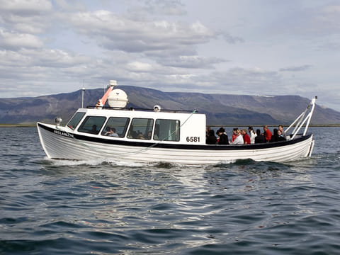 Puffin Express, photo 5