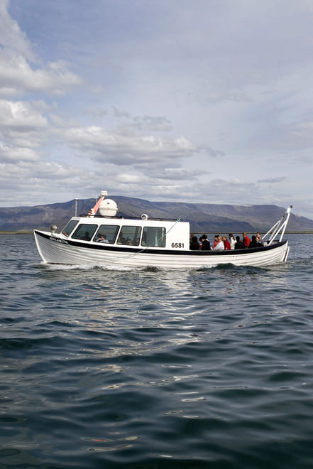Puffin Express photo 4