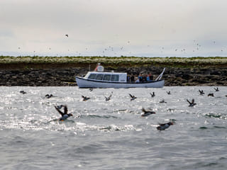 Puffin Express, photo 7