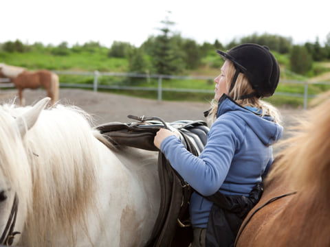 Lava Tour - Horseback Riding through the Lava Fields, photo 14
