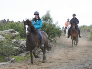 Viking Tour , photo 7