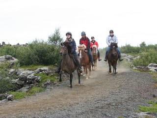 Viking Tour , photo 8