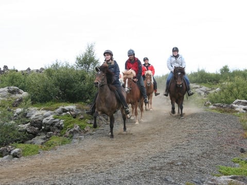 Viking Tour , photo 8