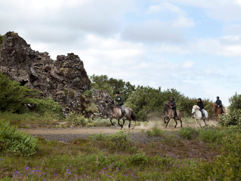 Viking Tour , photo 9